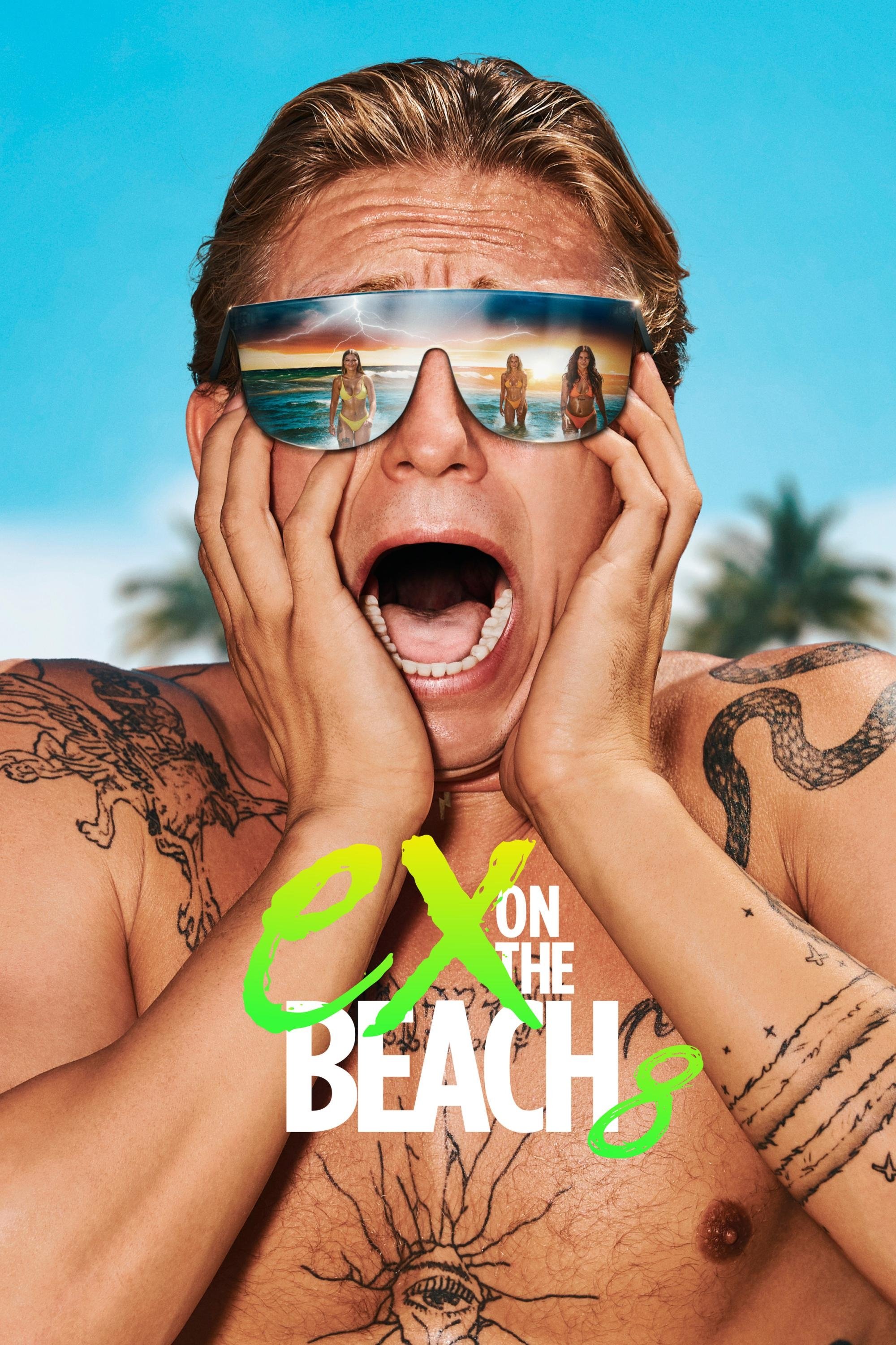 Poster de Temporada 8
