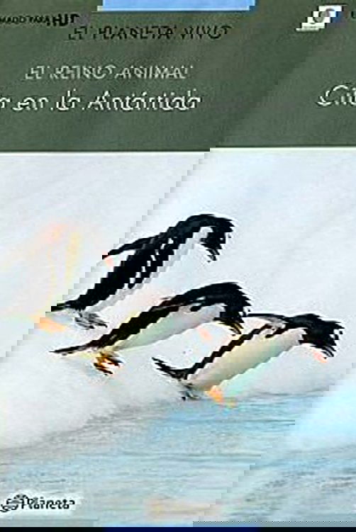 Poster de Rush Hour in Antarctica