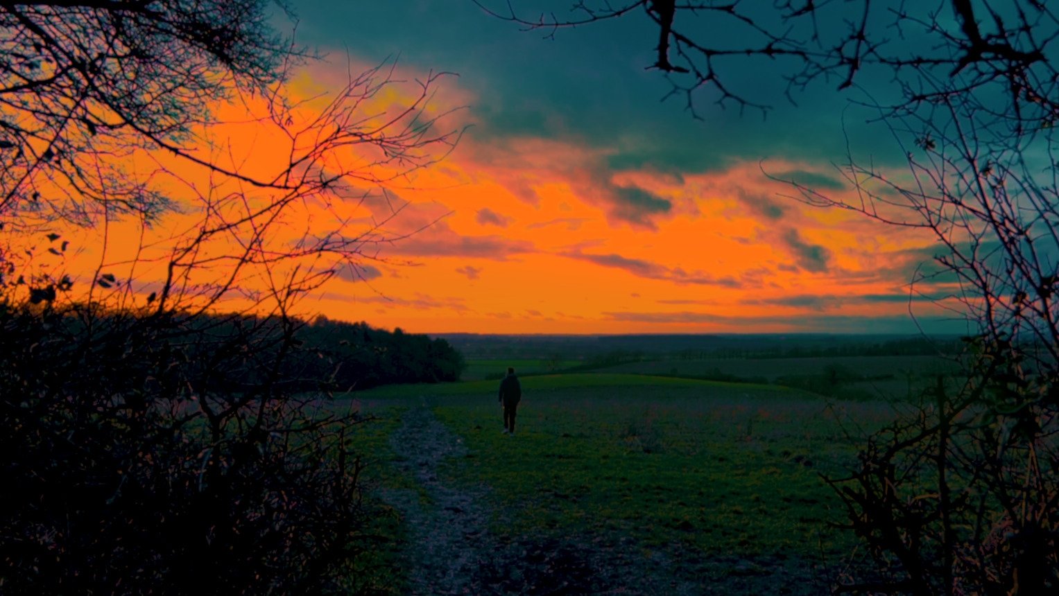 Backdrop image