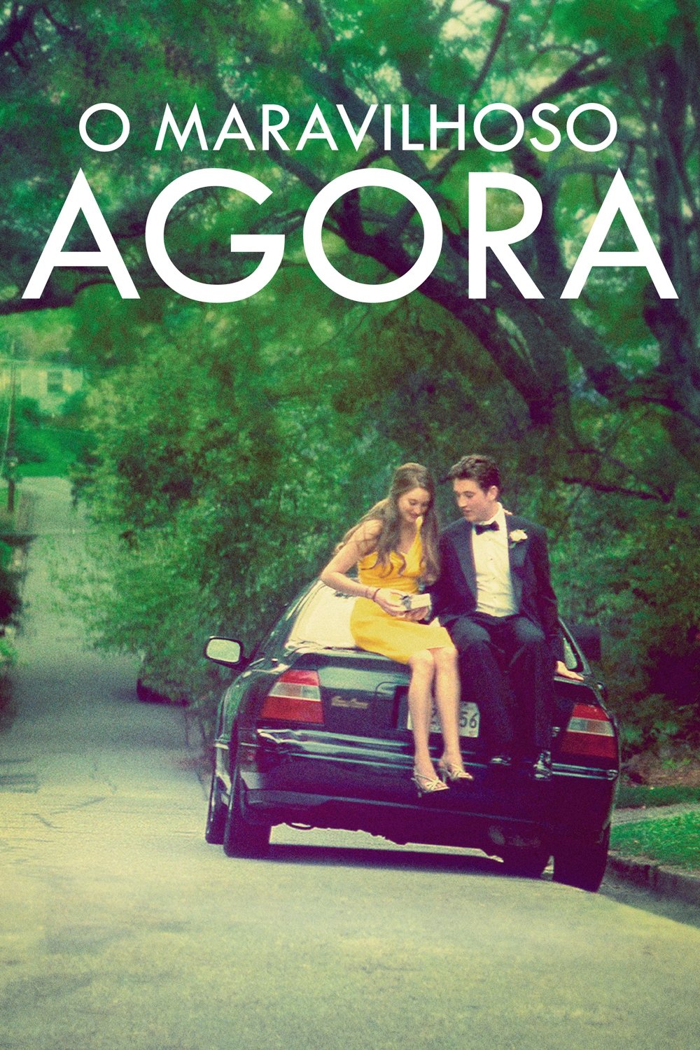Poster de O Maravilhoso Agora