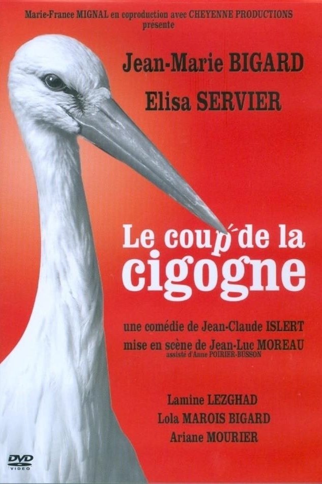 Poster de Le Coup de la Cigogne