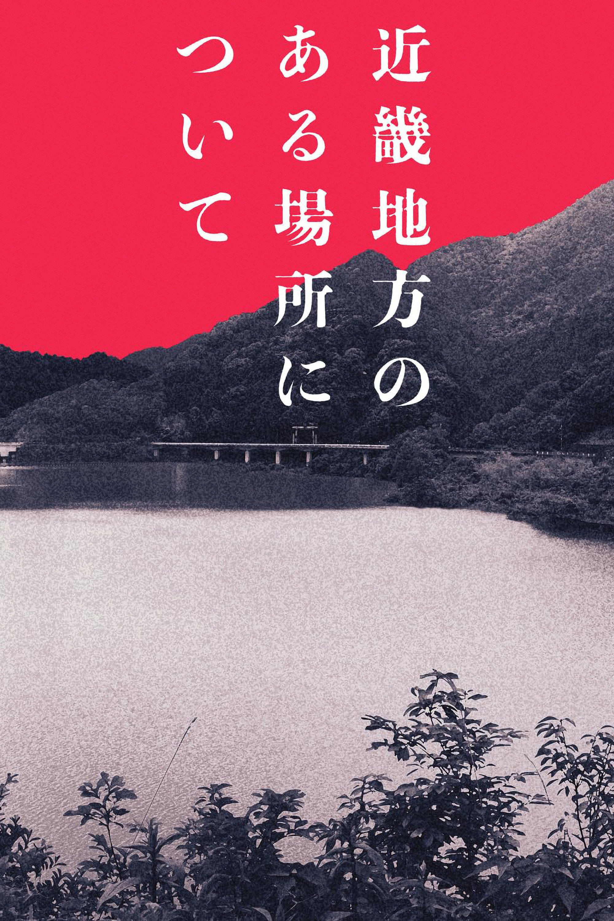 オカルト雑誌の編集者が行方不明になった。彼が消息を絶つ直前まで調べていたのは、幼女失踪事件や中学生の集団ヒステリー事件、都市伝説、心霊スポットでの動画配信騒動など、過去の未解決事件や怪現象の数々だった。同僚の編集部員・小沢悠生はオカルトライターの瀬野千紘とともに彼の行方を捜すうちに、それらの謎がすべて“近畿地方のある場所”につながっていることに気づく。真相を確かめようと、2人は何かに導かれるようにその場所へと向かうが、そこは決して見つけてはならない禁断の場所だった。
