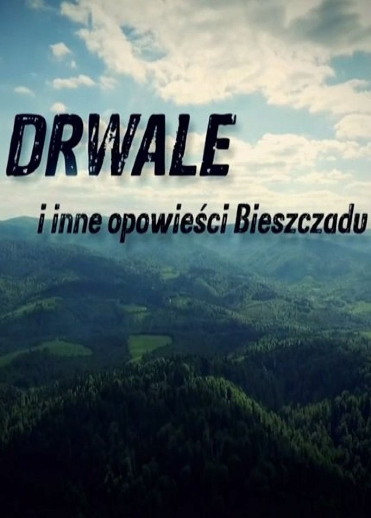 Poster de Drwale i inne opowieści Bieszczadu