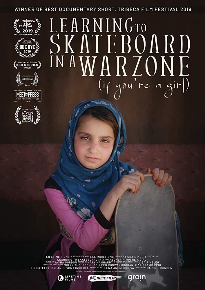Poster de Aprendendo a andar de skate em uma zona de guerra (se você é uma garota)
