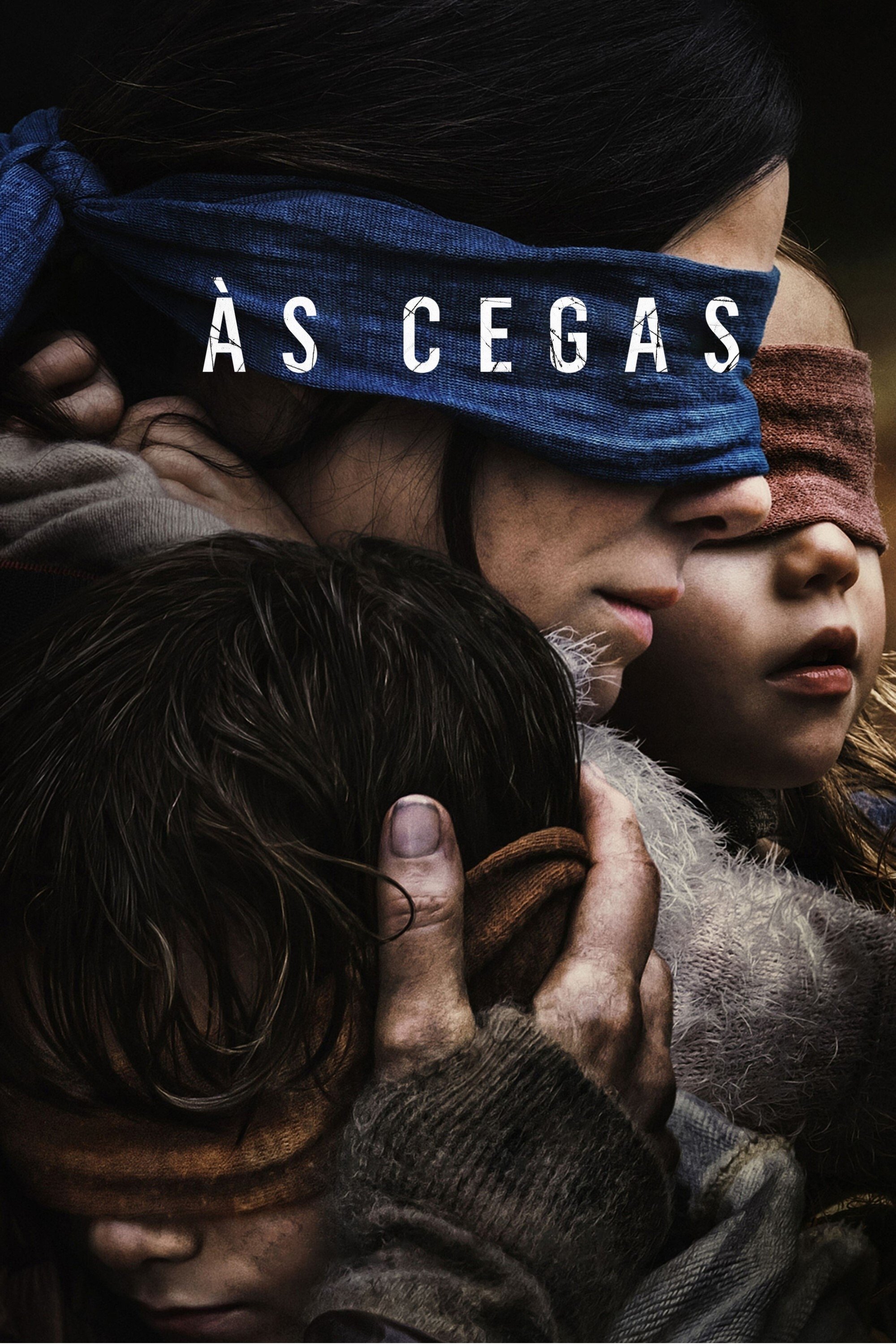 Poster de Bird Box