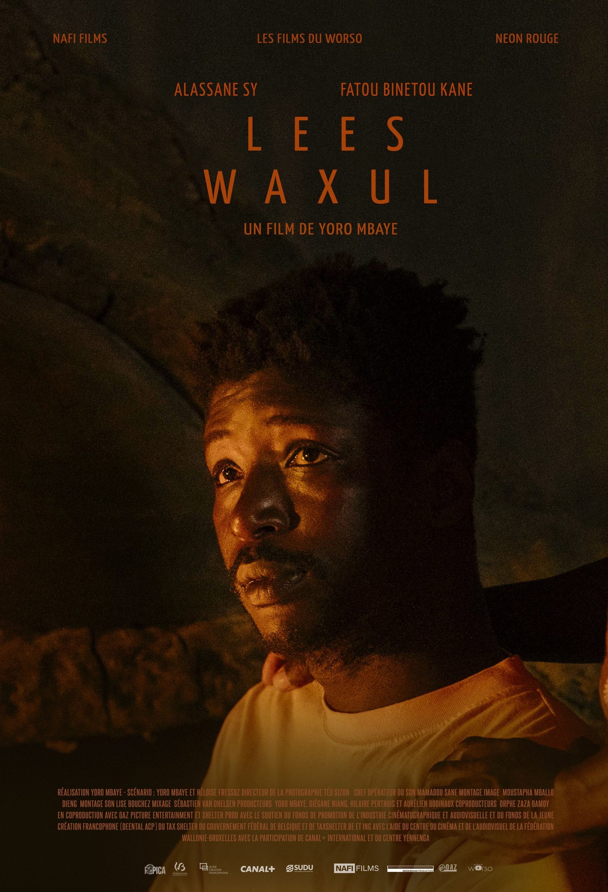 Poster de Lees Waxul