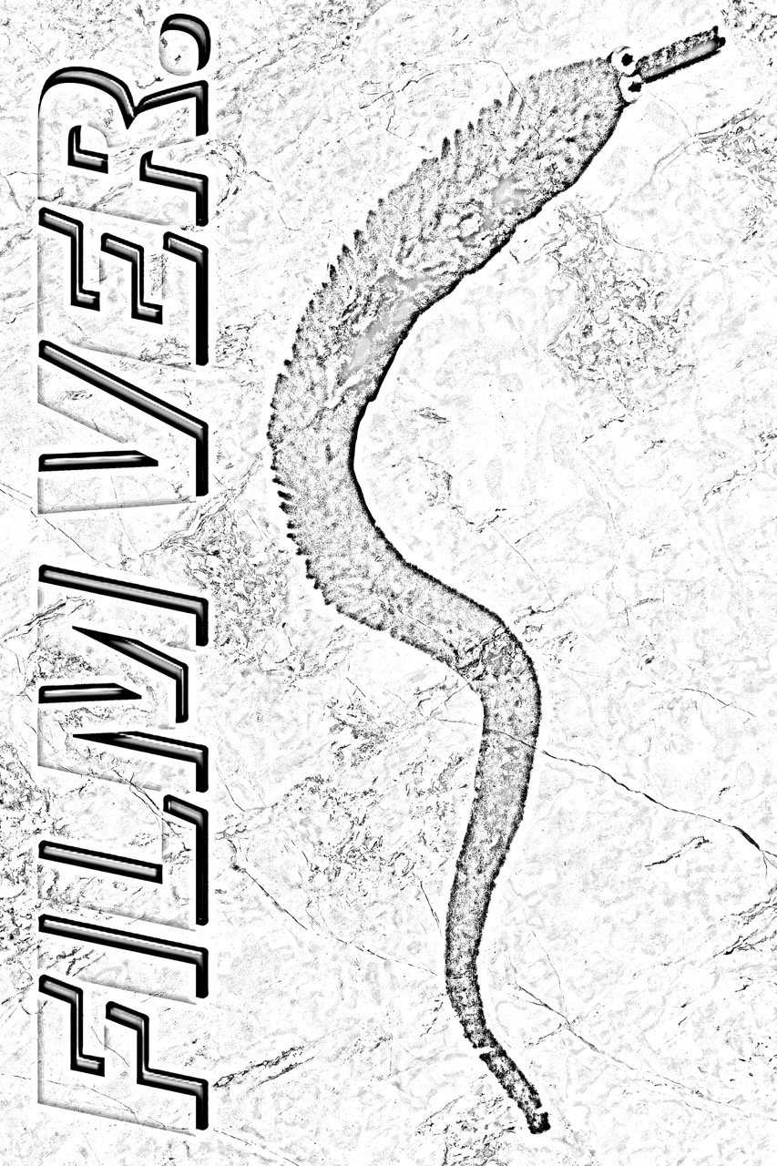 Poster de FILM VER.