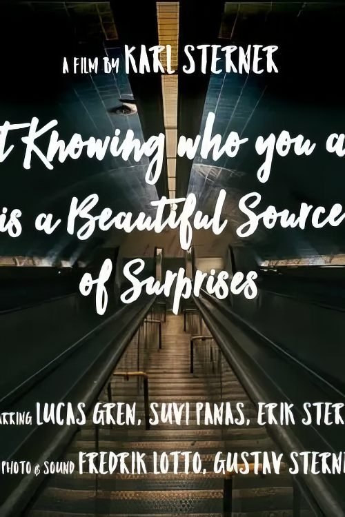 Poster de Not knowing who you are is a beautiful source of surprises
