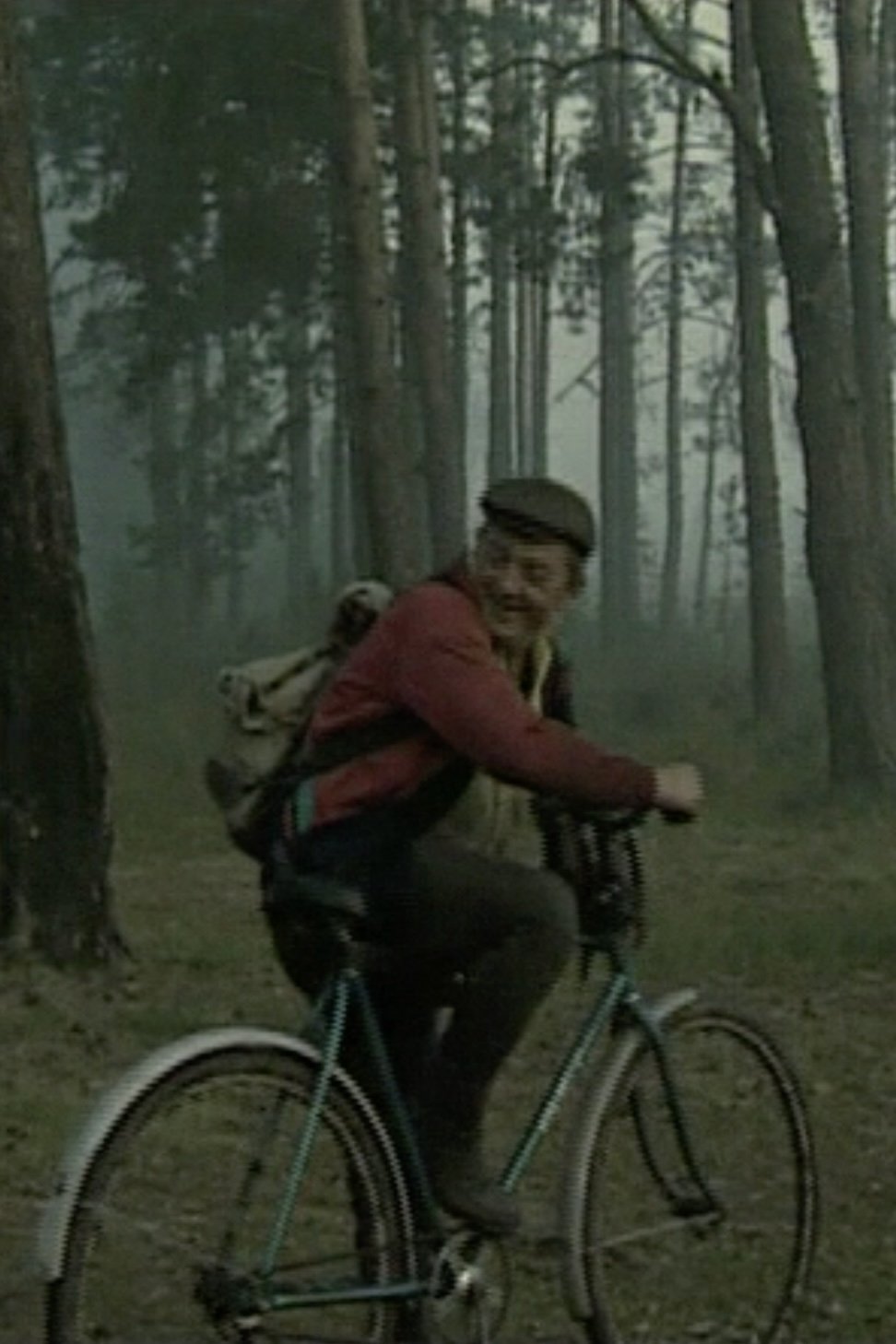 Poster de На болотах