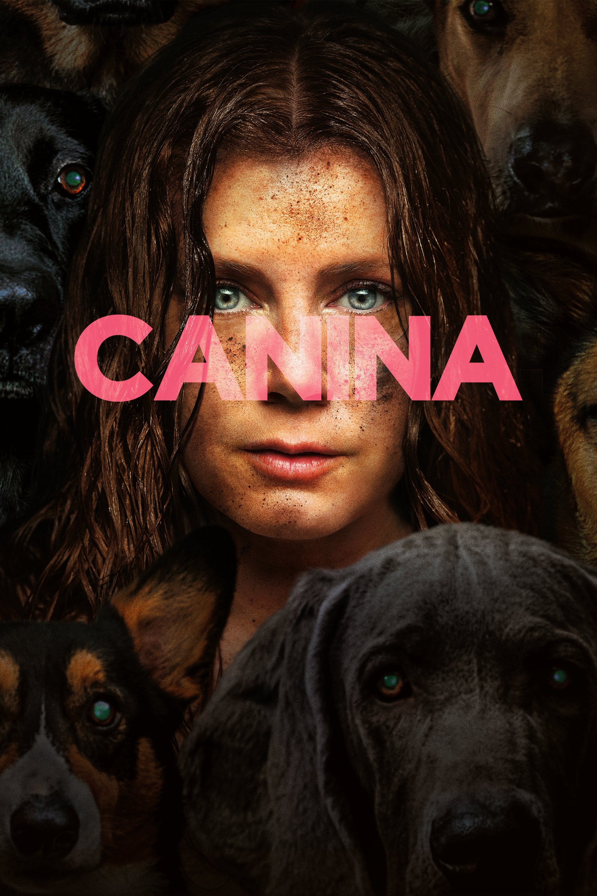 Poster de Canina