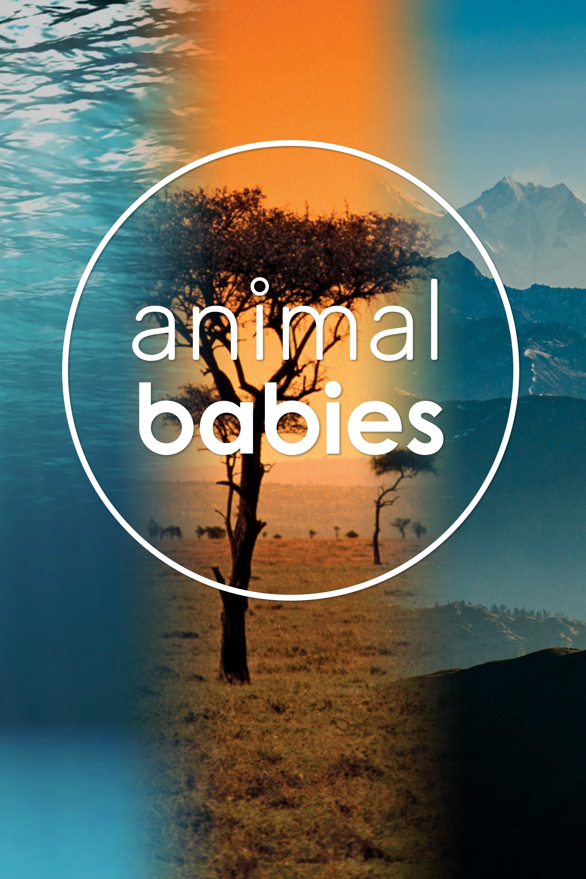 Poster de Animal Babies