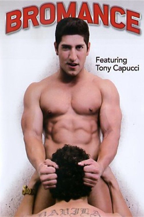 Poster de Bromance