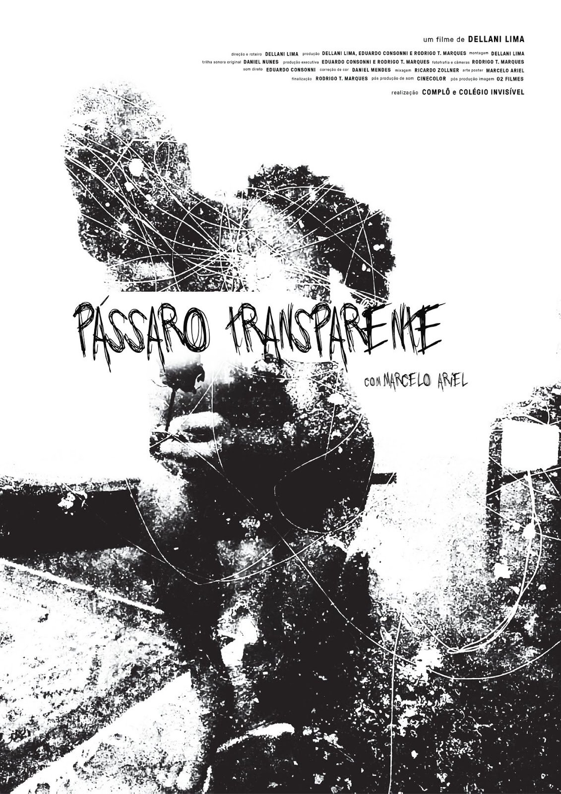 Poster de Pássaro Transparente