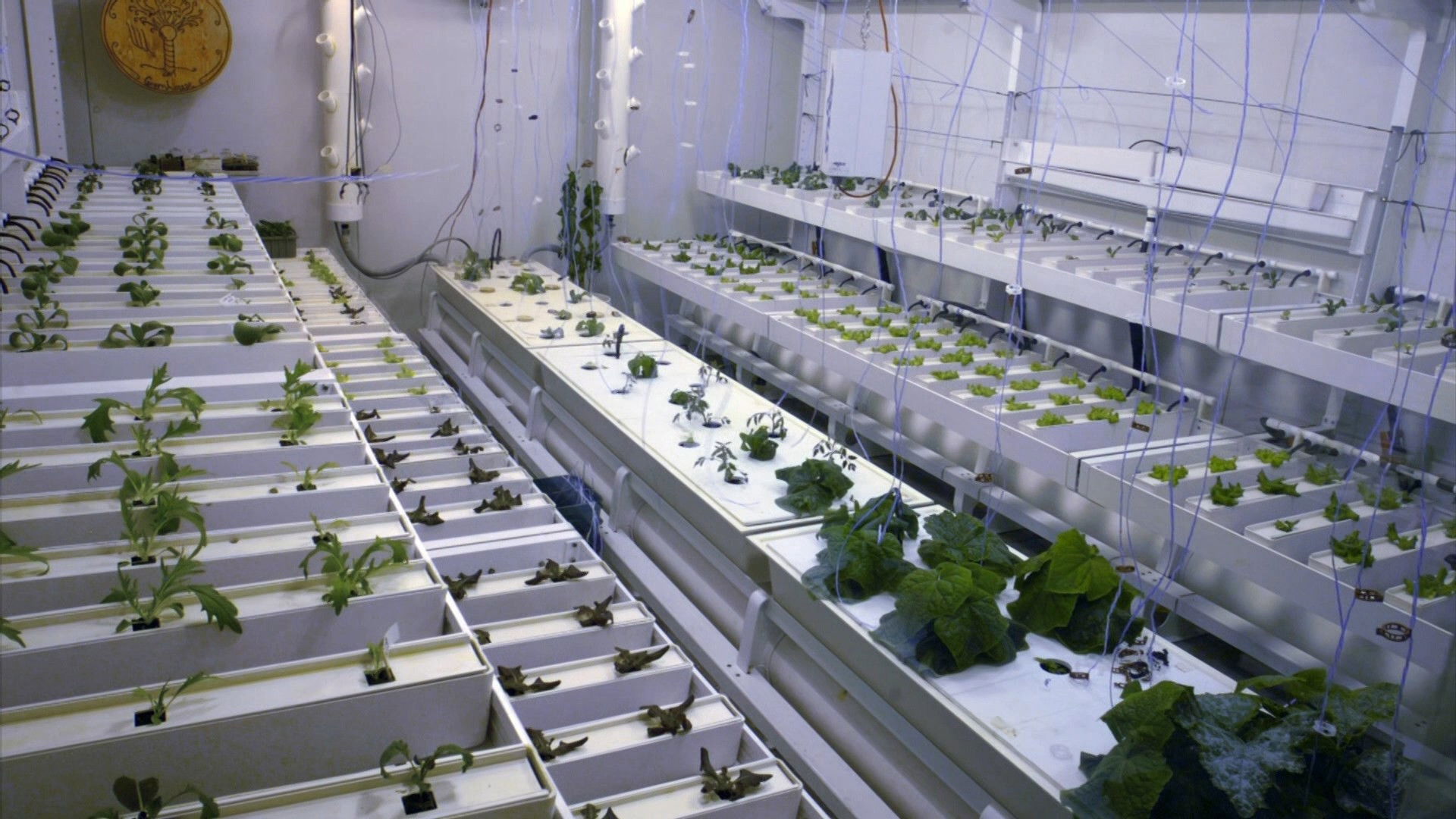 Science at the End of the Earth