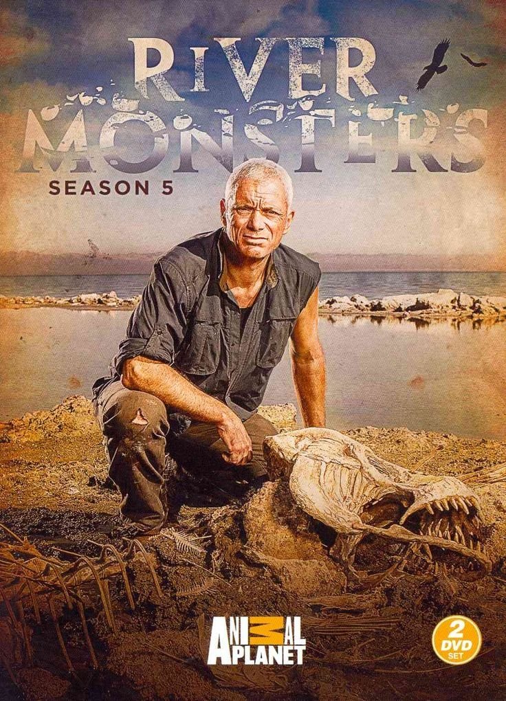 Poster de Temporada 5