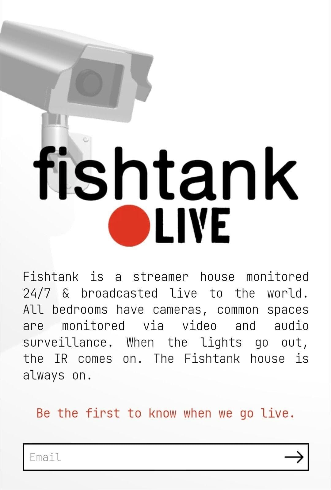 Poster de fishtank