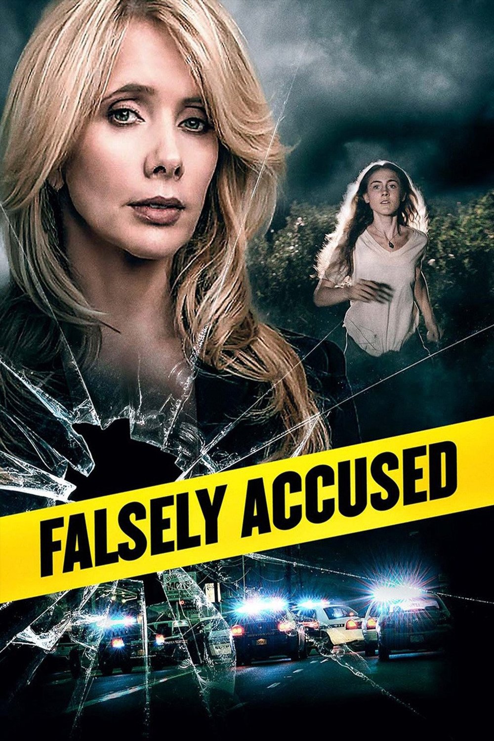 Poster de Falsely Accused
