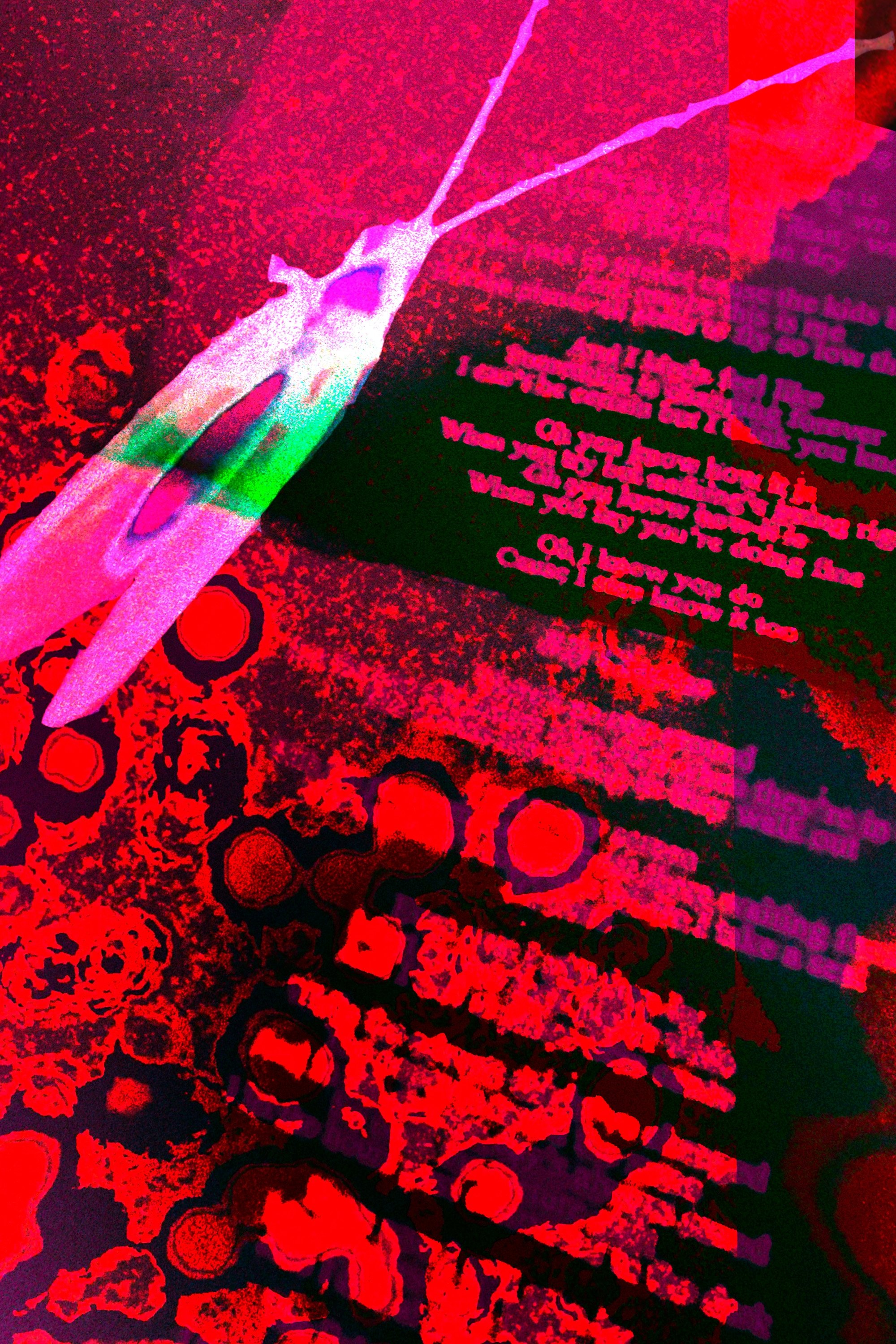 Poster de Observações do Dr. Cânhamo