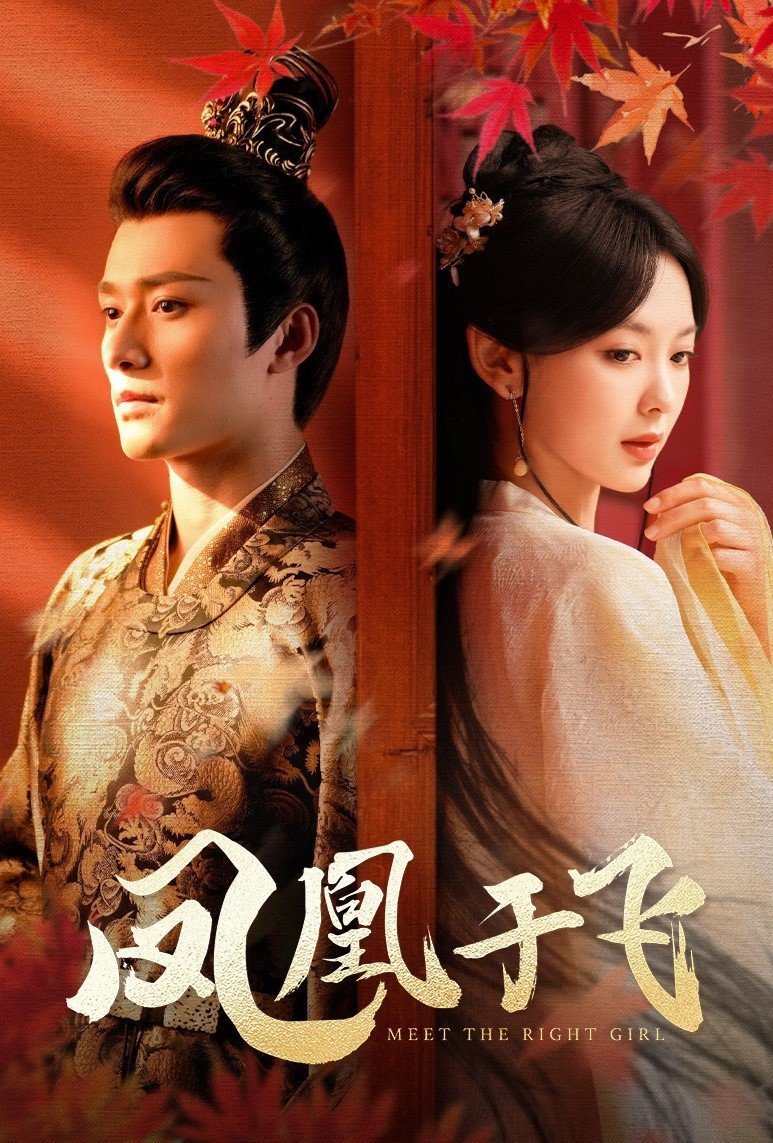 Poster de 凤凰于飞