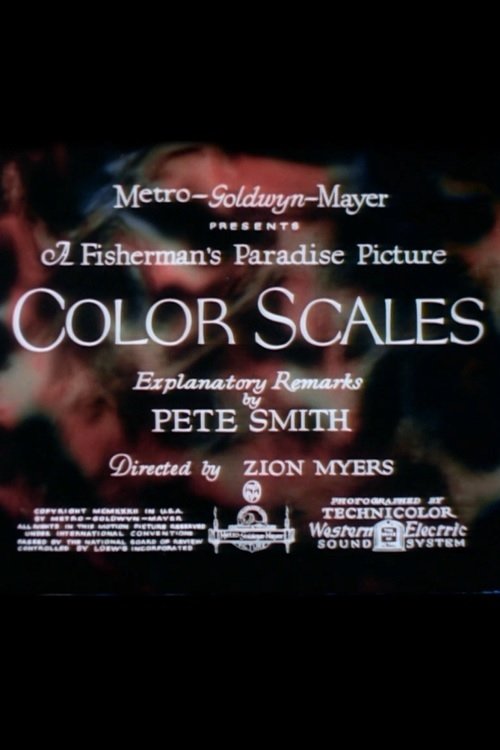 Poster de Color Scales
