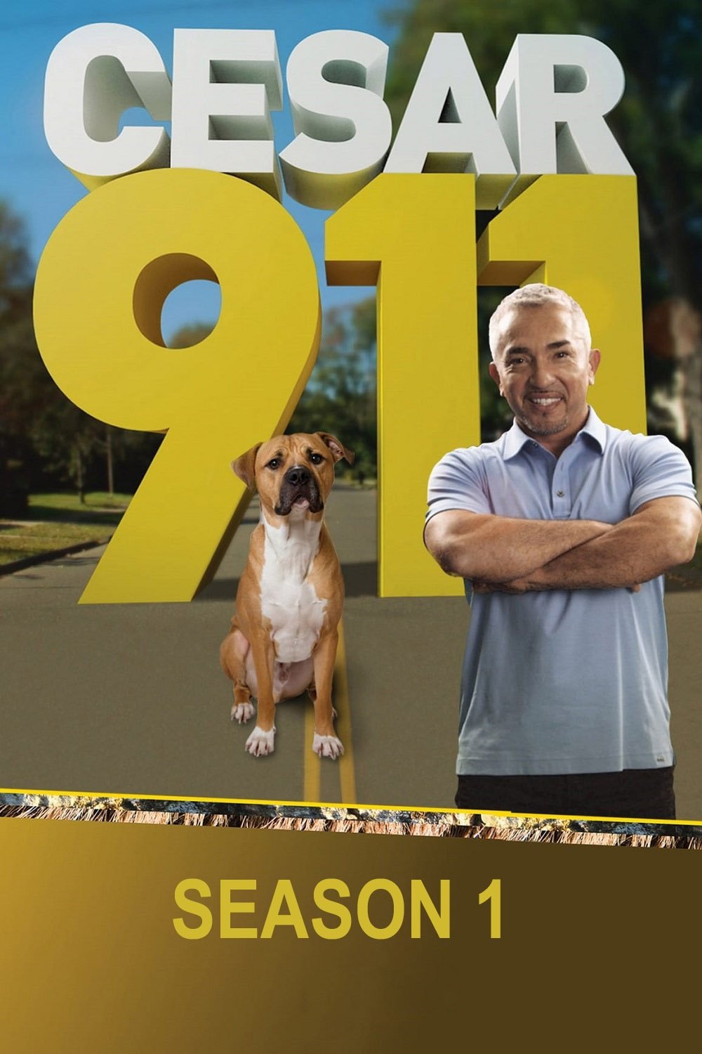 Poster de Temporada 1