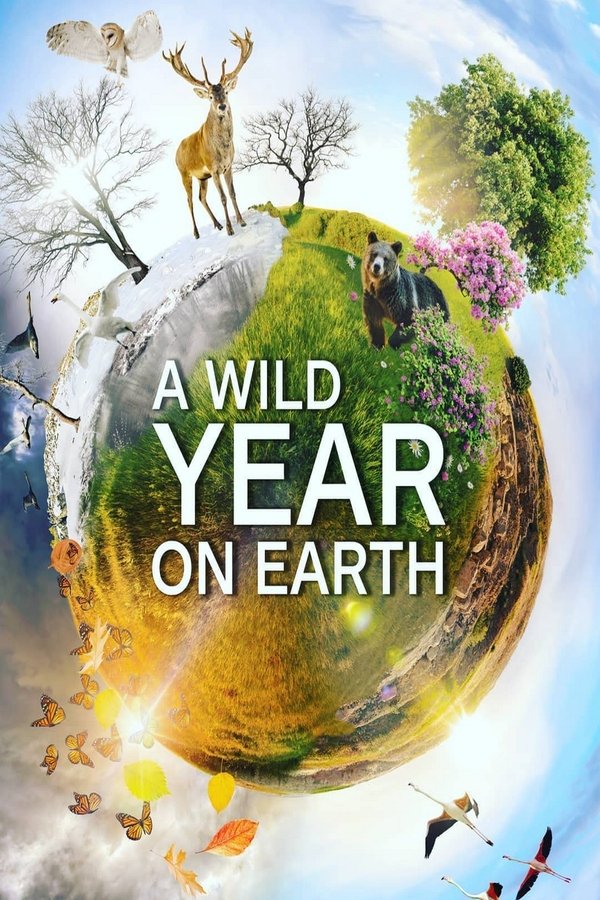Poster de Um Ano Selvagem na Terra