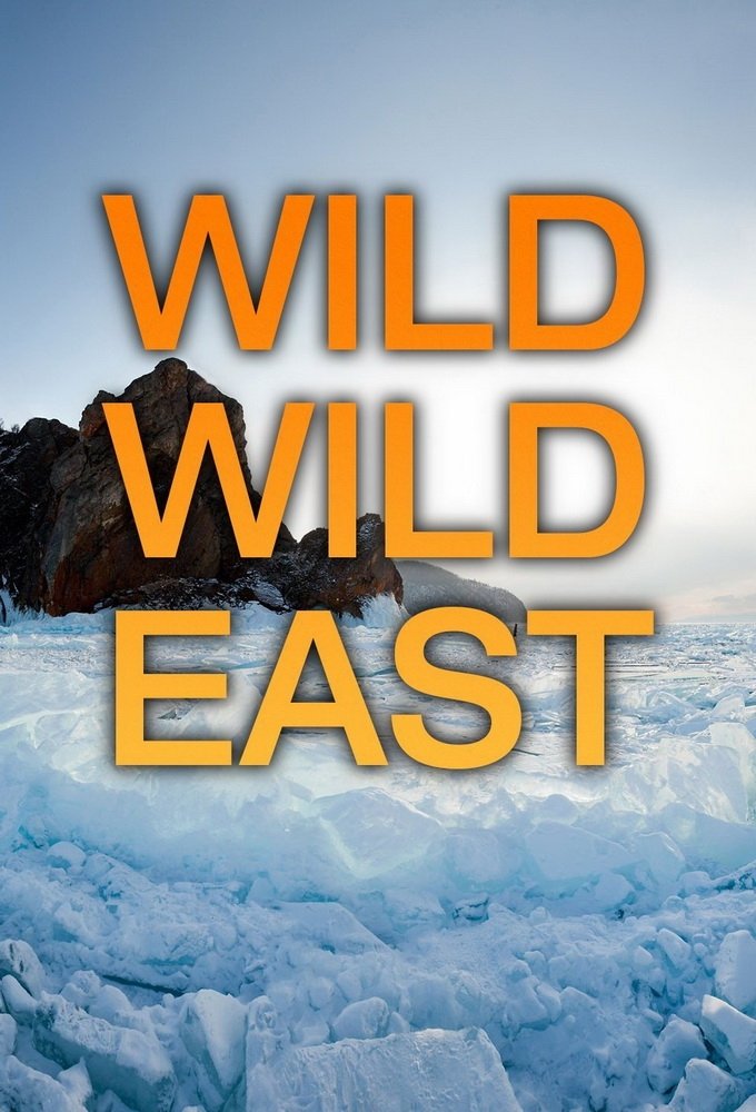 Poster de Wild Wild East