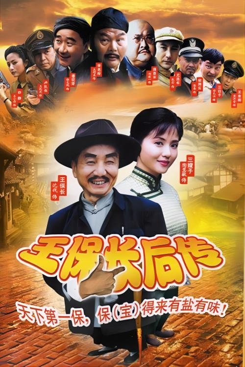 Poster de 王保长后传