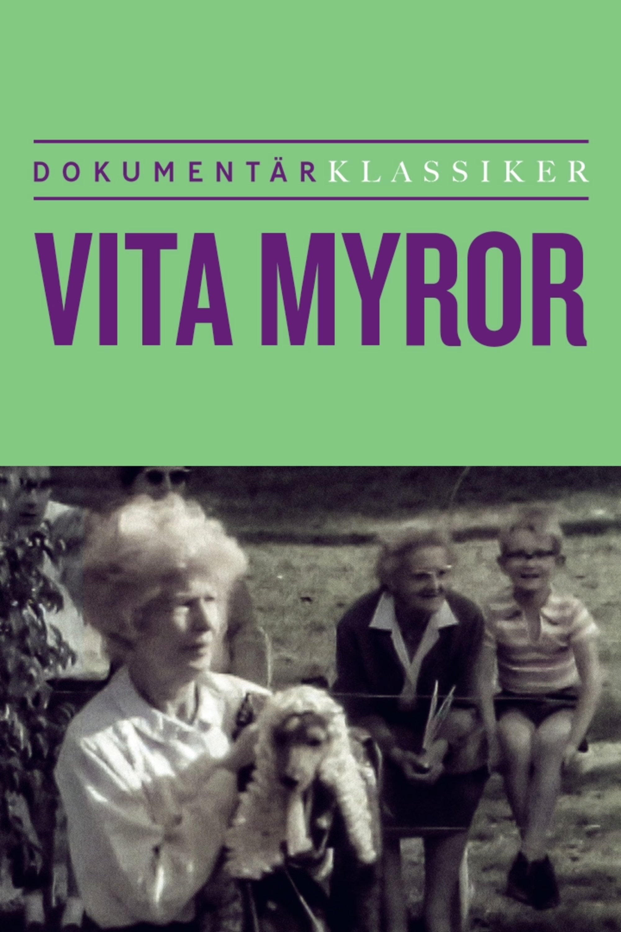 Poster de Vita myror