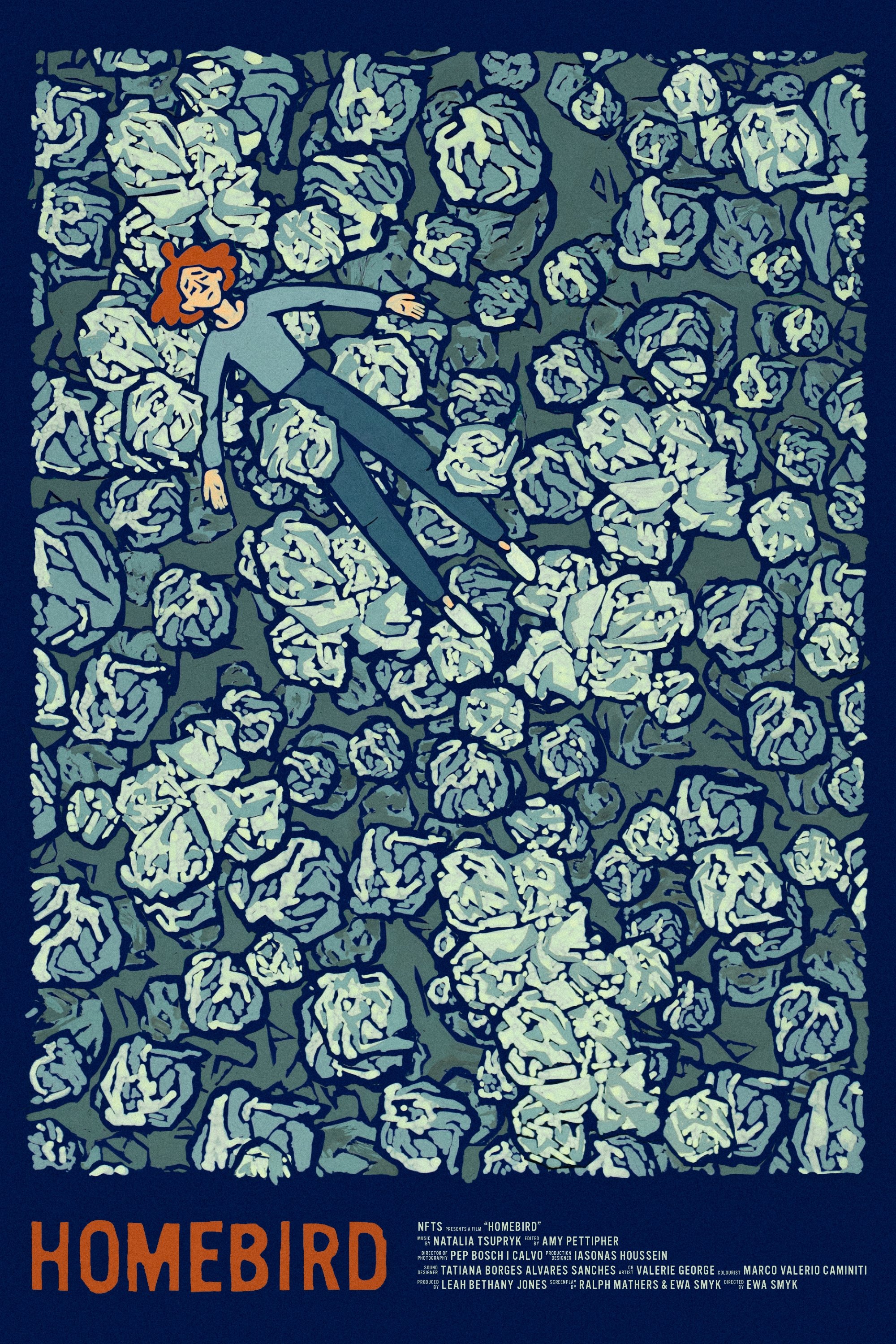 Poster de Homebird
