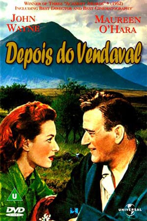 Poster de Ao Passar do Vendaval