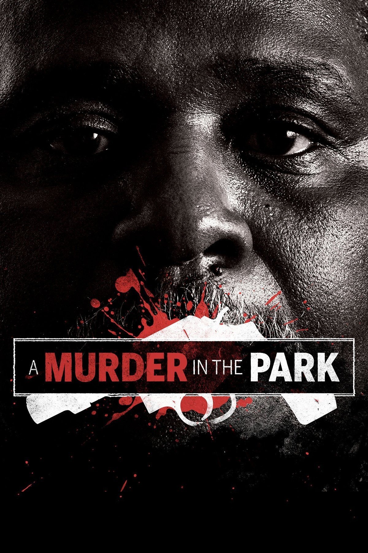 Poster de A Murder in the Park