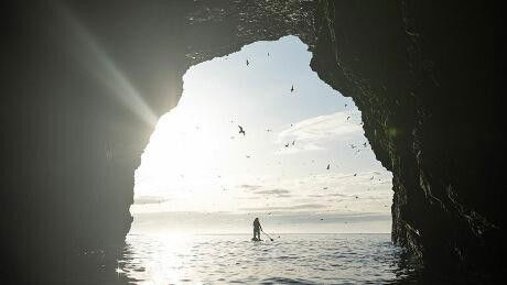 Tides and Predators - The Wild West and North coasts