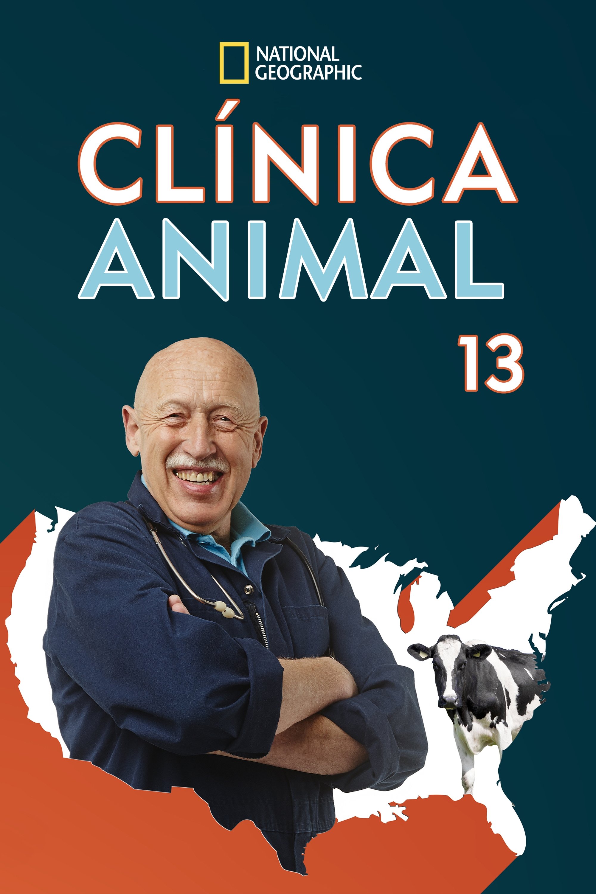 Poster de Temporada 13
