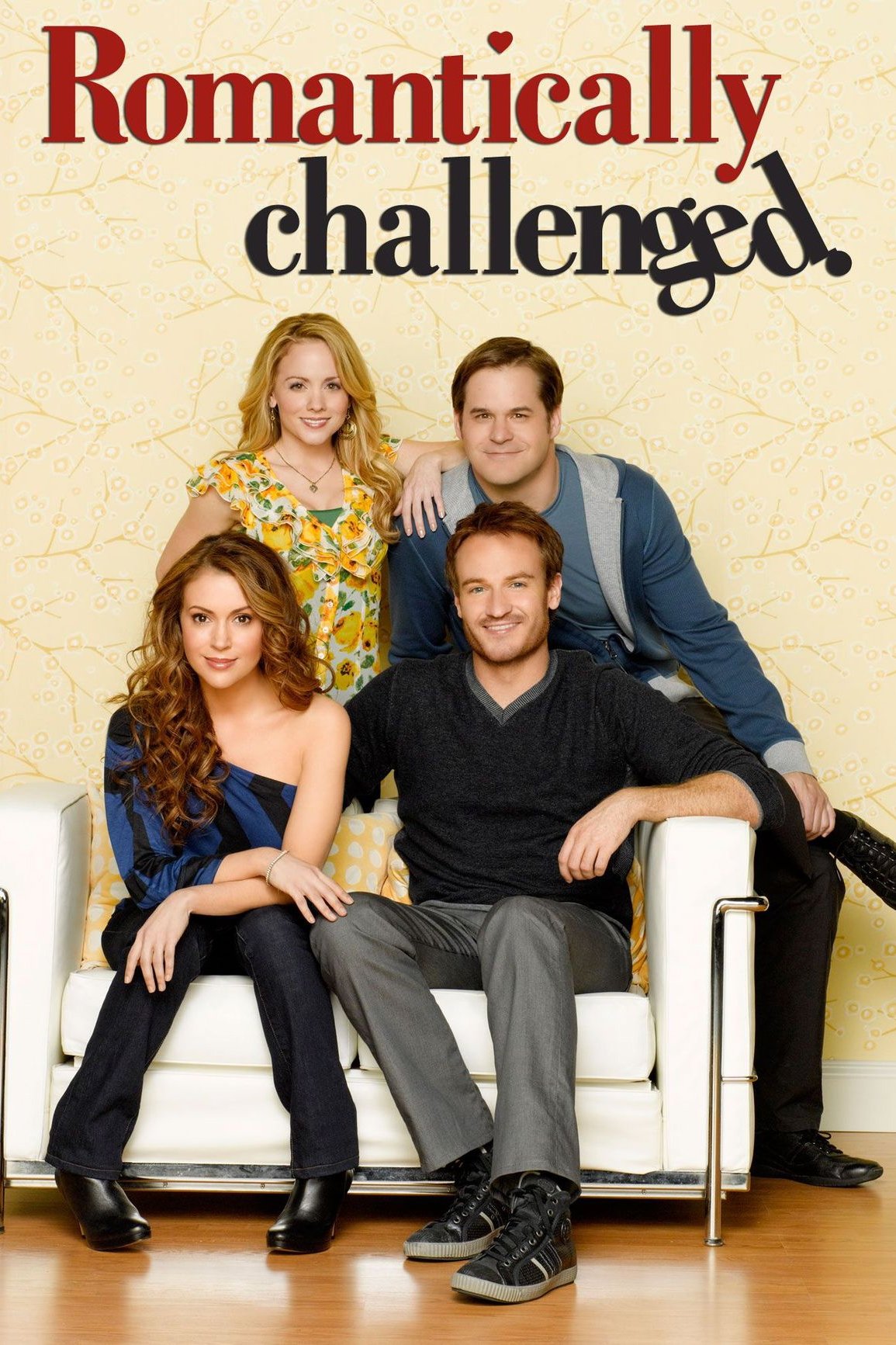 Poster de Romantically Challenged