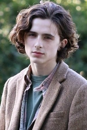 Foto de Timothée Chalamet