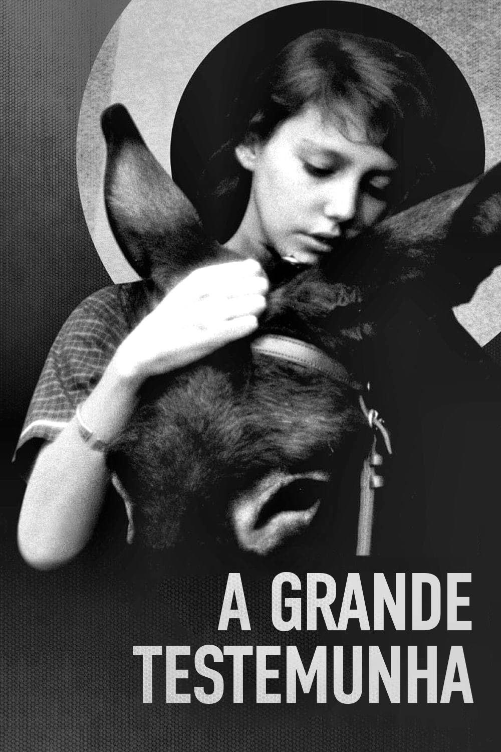 Poster de A Grande Testemunha