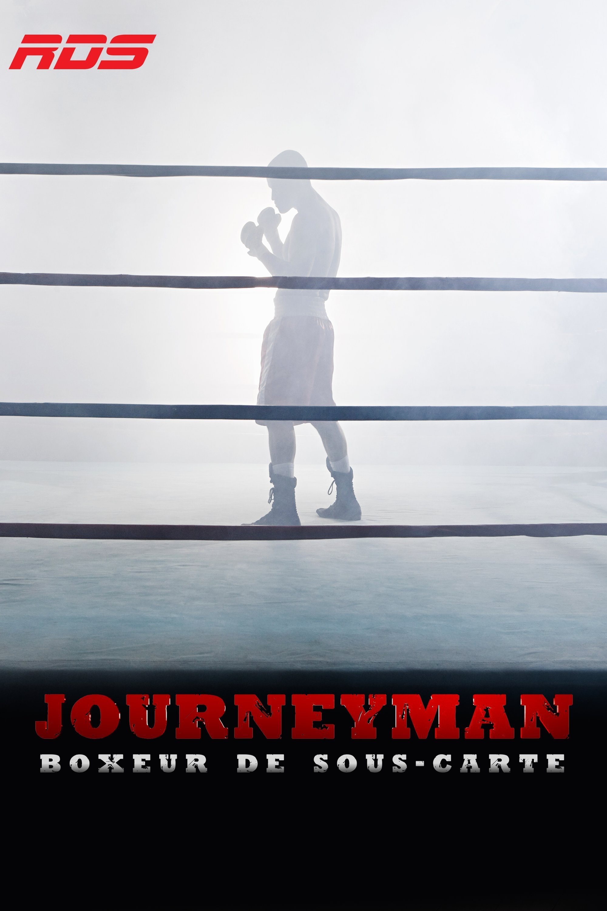 Poster de Temporada 4
