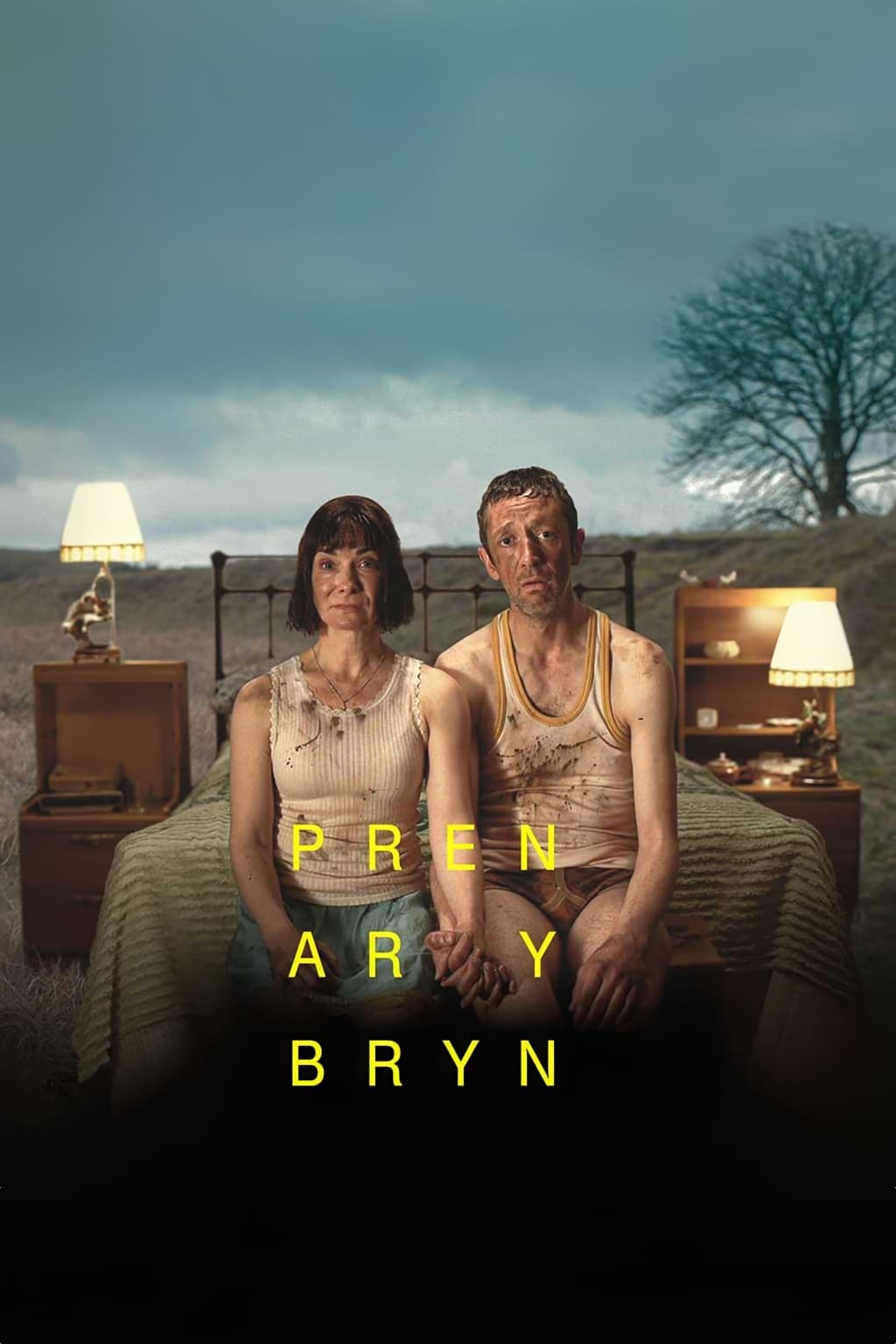 Poster de Pren ar y Bryn