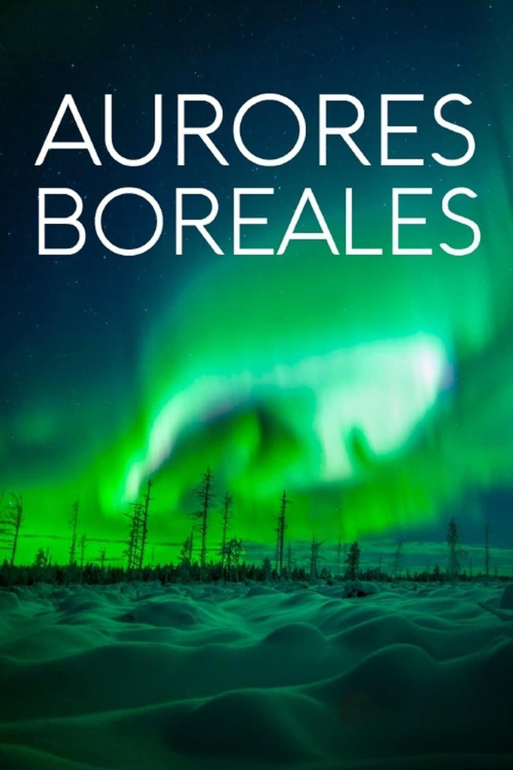 Poster de Revontulien armoilla