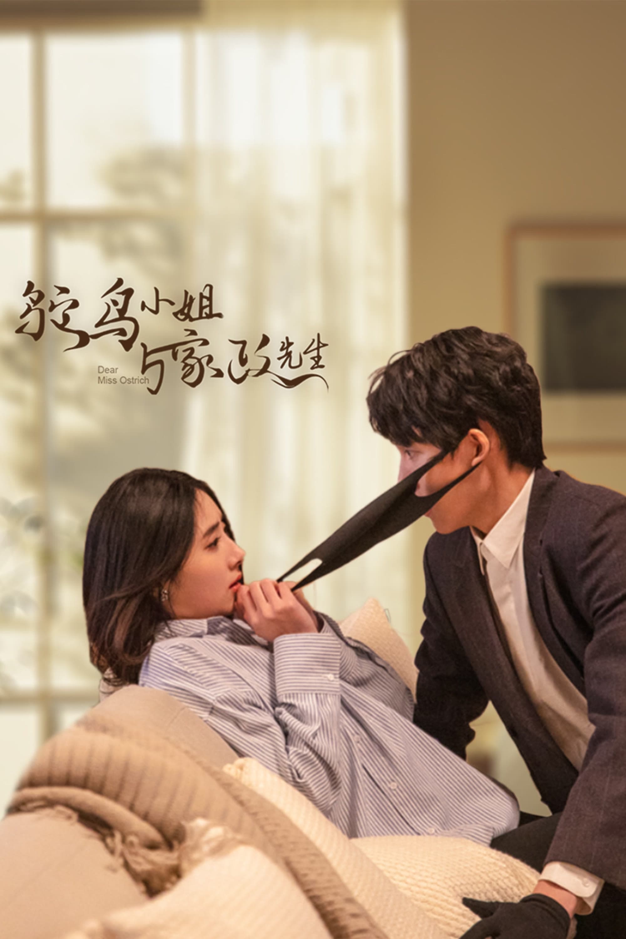 Poster de 鸵鸟小姐与家政先生