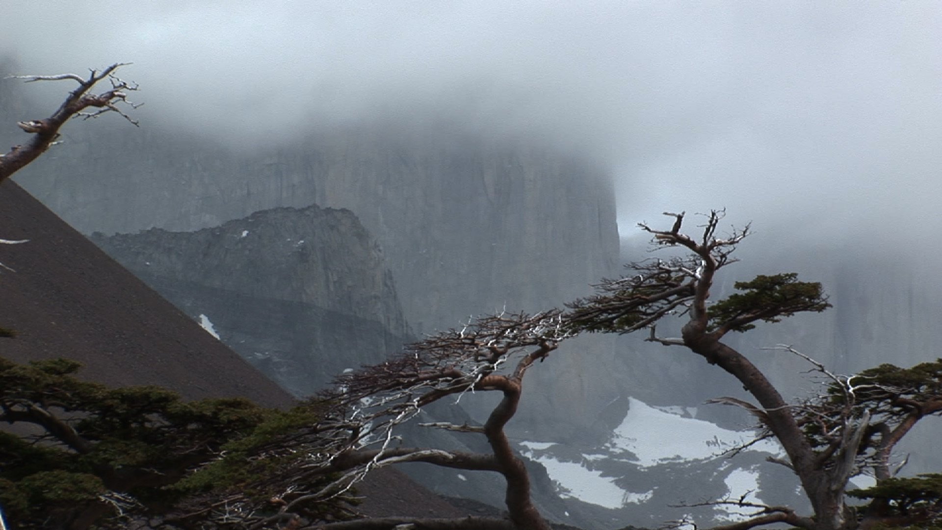 backdrops