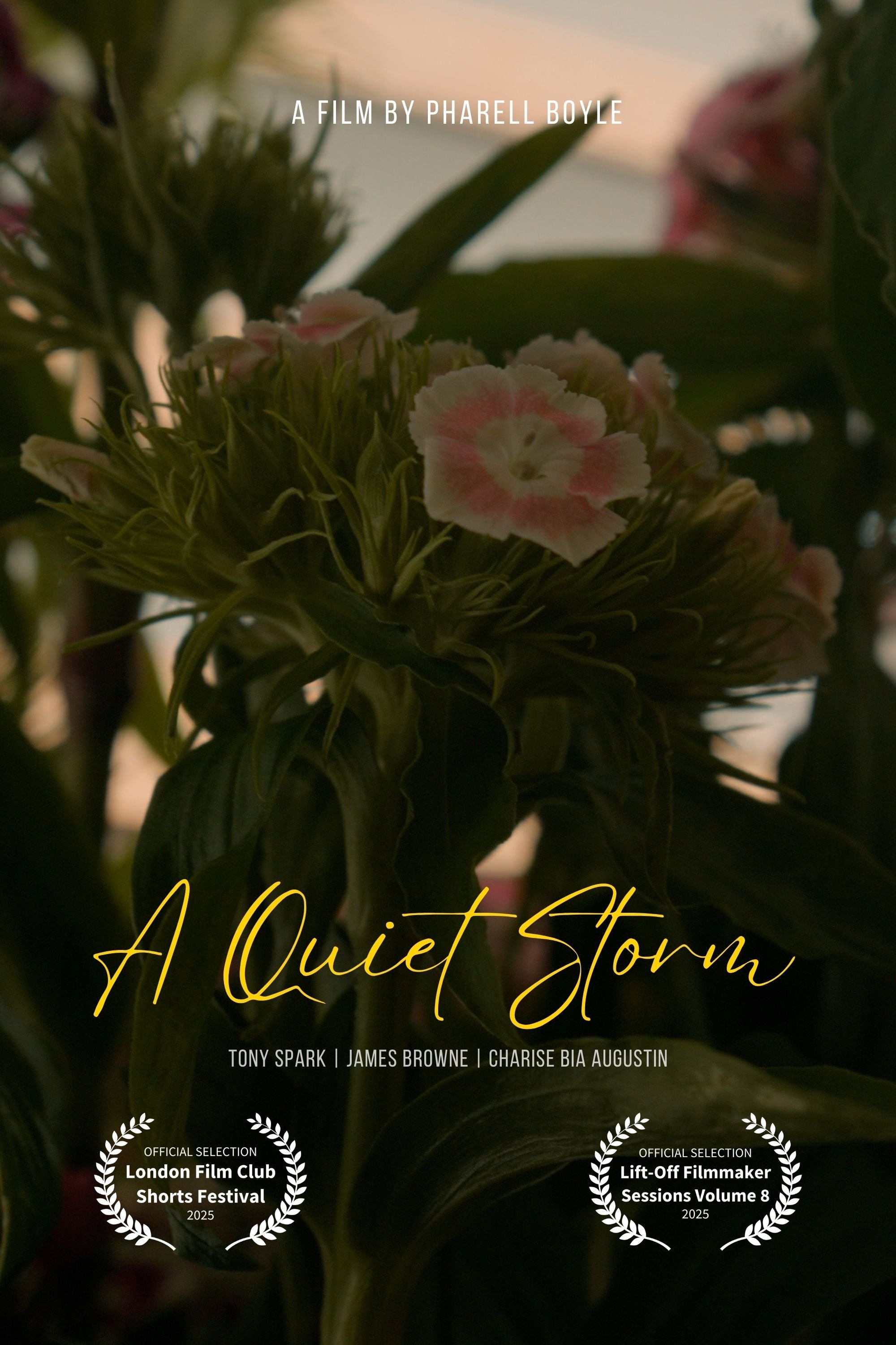 Poster de A Quiet Storm