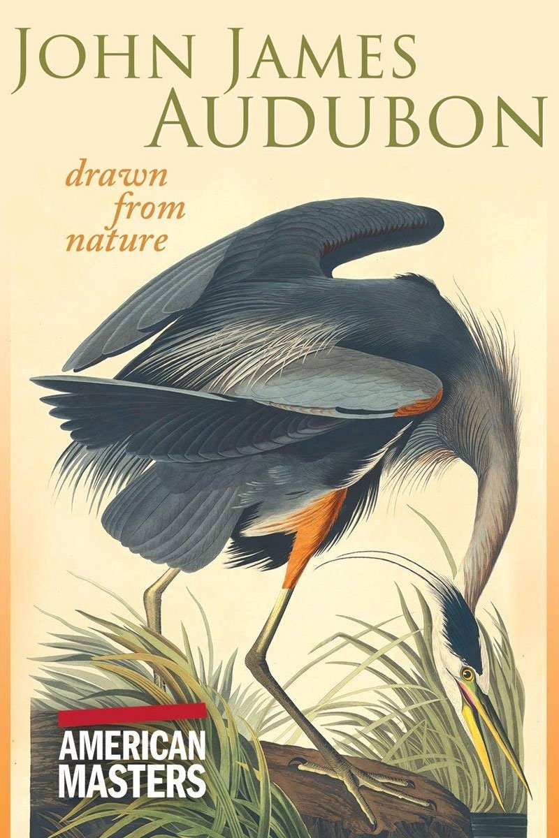 Poster de John James Audubon: Drawn From Nature
