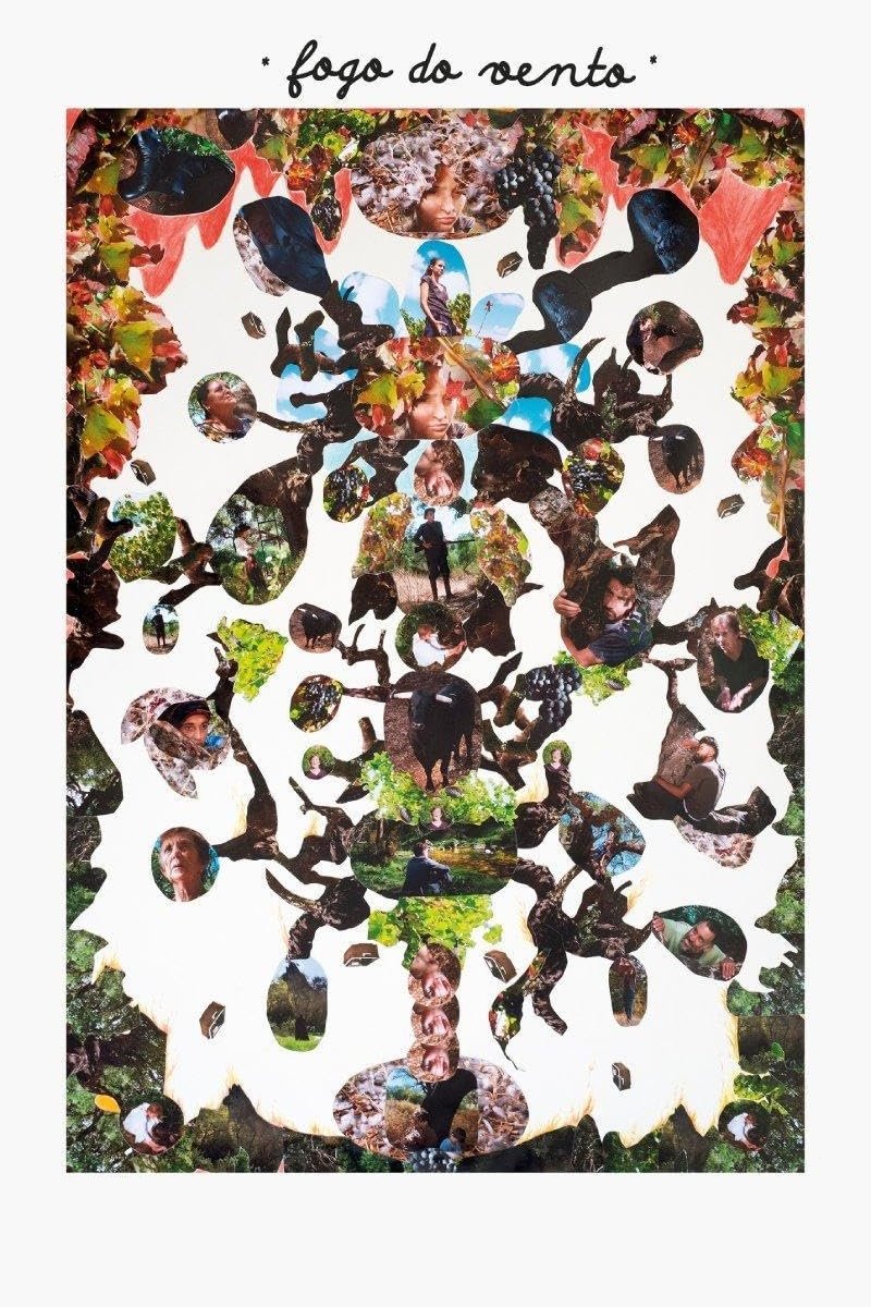 Poster de Fogo do Vento