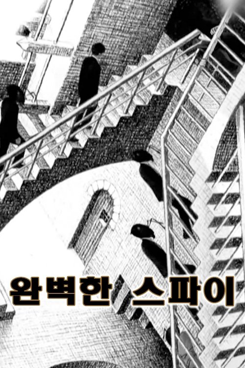 Poster de 완벽한 스파이