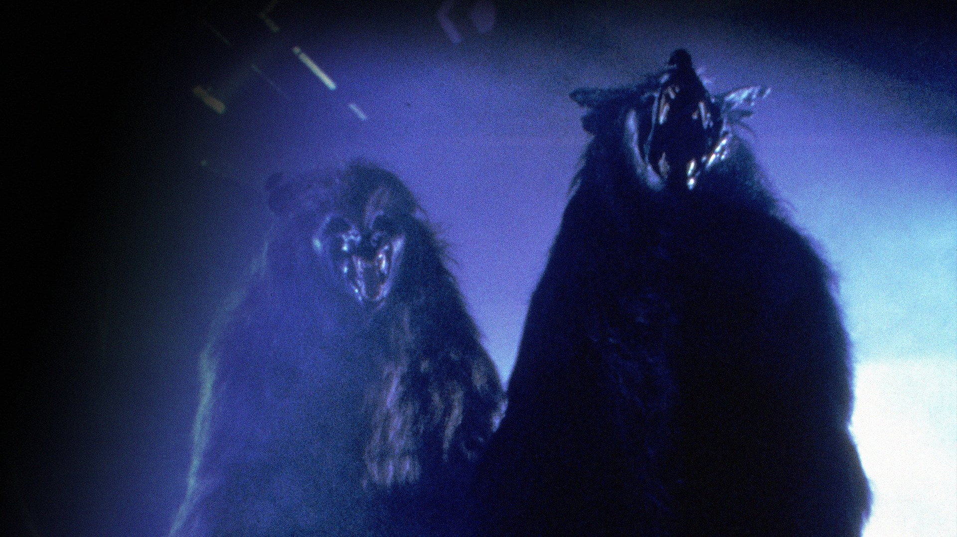 Werewolf