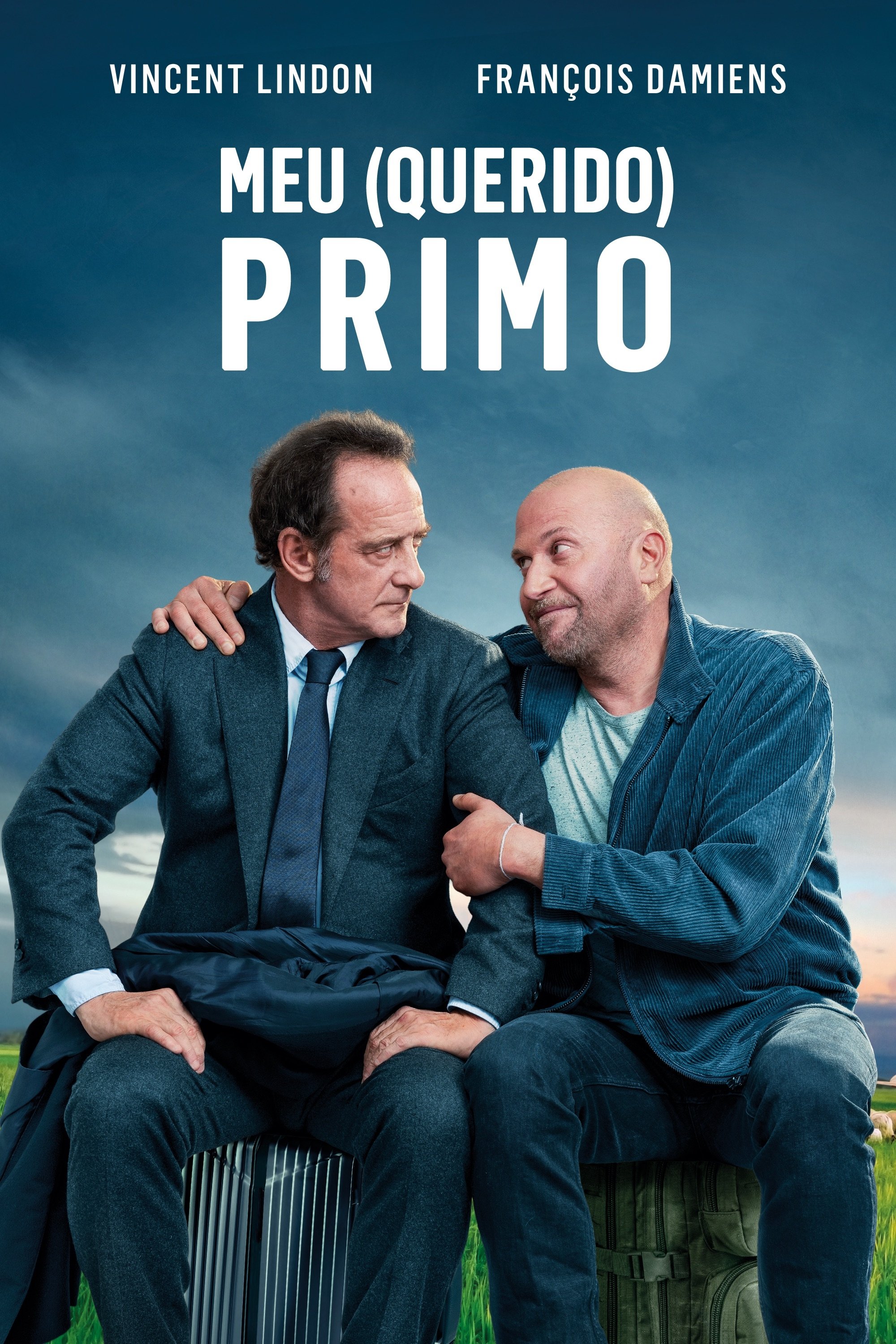 Poster de Meu (Querido) Primo