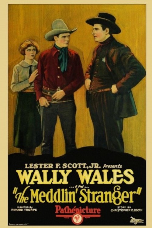 Poster de The Meddlin' Stranger