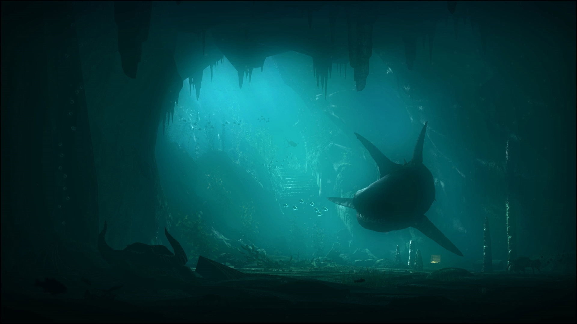 Megalodon Collection